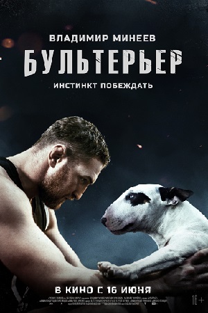Бультерьер  смотреть онлайн