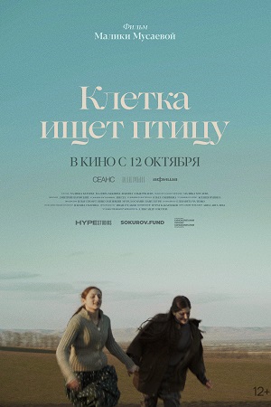 Клетка ищет птицу смотреть онлайн