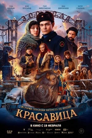 Красавица смотреть онлайн