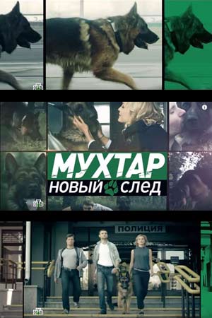 Мухтар. Новый след  смотреть онлайн