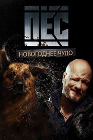 Новогодний пёс  смотреть онлайн