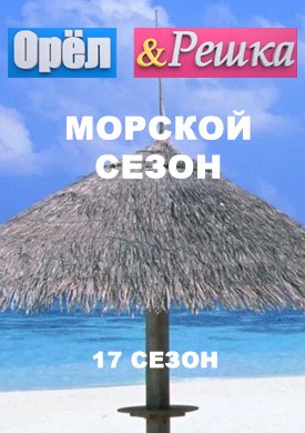 14 сезон