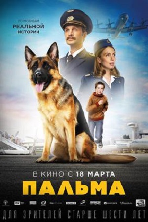1 сезон