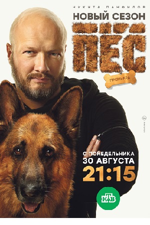 Пес 6  смотреть онлайн