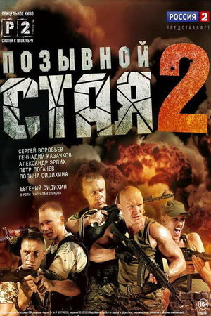Позывной Стая 2  смотреть онлайн