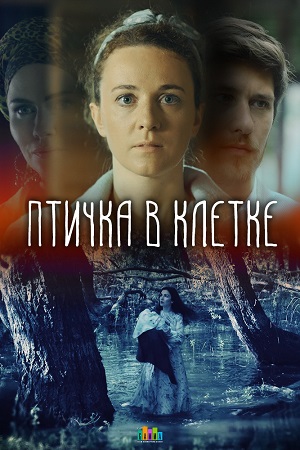 Птичка в клетке  смотреть онлайн
