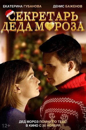 Секретарь Деда Мороза  смотреть онлайн