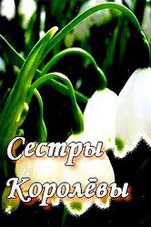 Сёстры Королёвы  смотреть онлайн