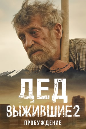 14 сезон