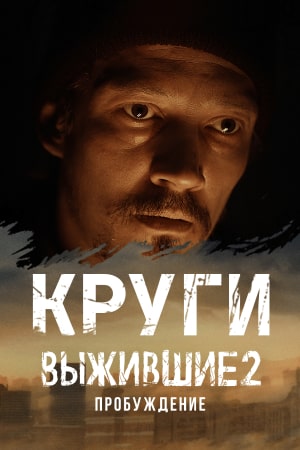 13 сезон